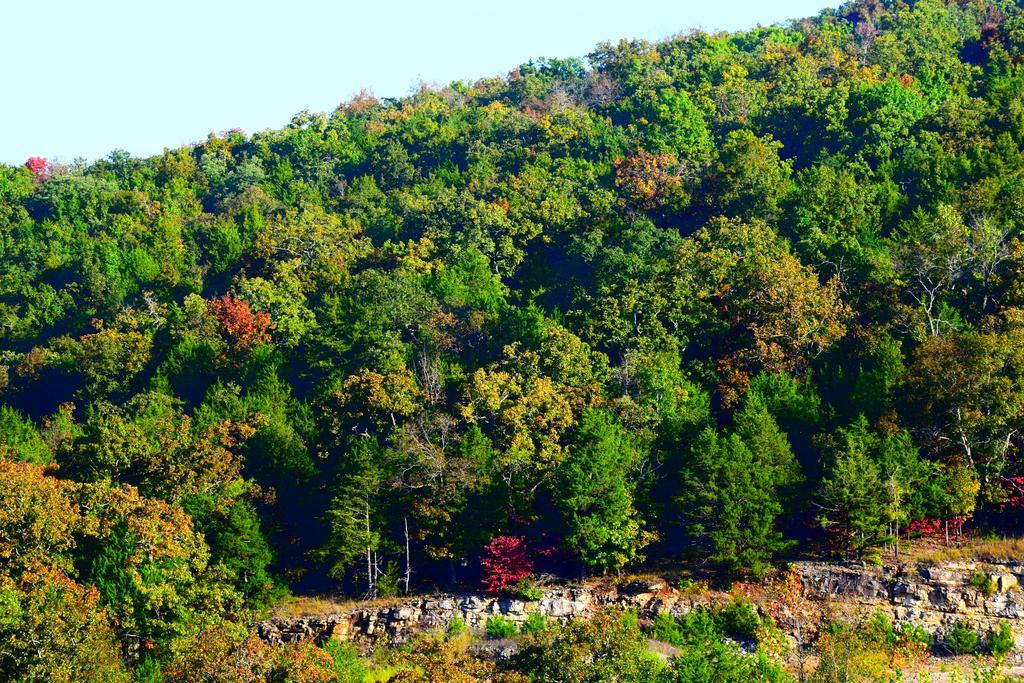 Multi Resorts At Eagles Nest Branson Exterior photo